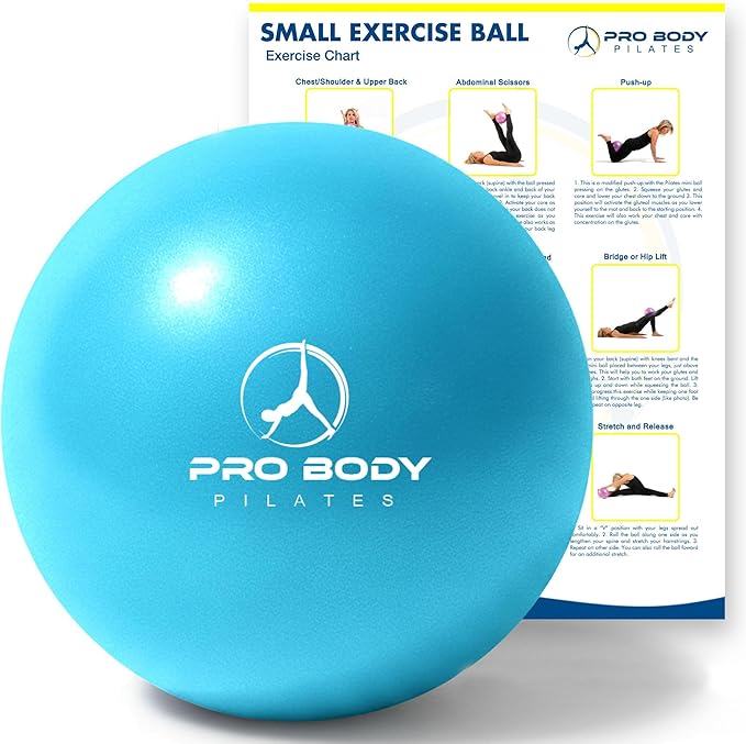 ProBody Pilates Small Exercise Ball - 9 Inch Workout Ball for Stability, Barre, Yoga, Core & Physical Therapy