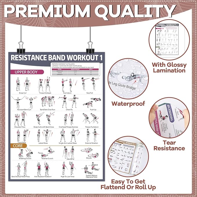 gisgfim 12PCS Workout Posters for Home Gym Dumbbells, Bodyweight, Stretching, Kettlebells, Yoga, Resistance Bands Exercise Chart Muscle Engagement Chart Full Body Workout Poster Set Garage Gym Decor