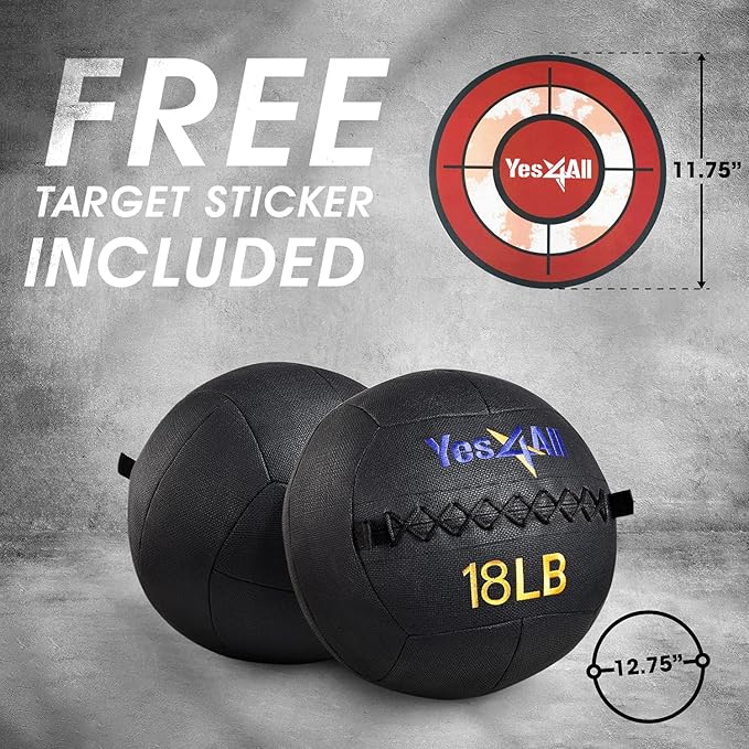 Yes4All Wall Ball, Soft Leather Weighted Iron Sand Ball for Dynamic Multifunctional Exercise, 6 LB - 30 LB
