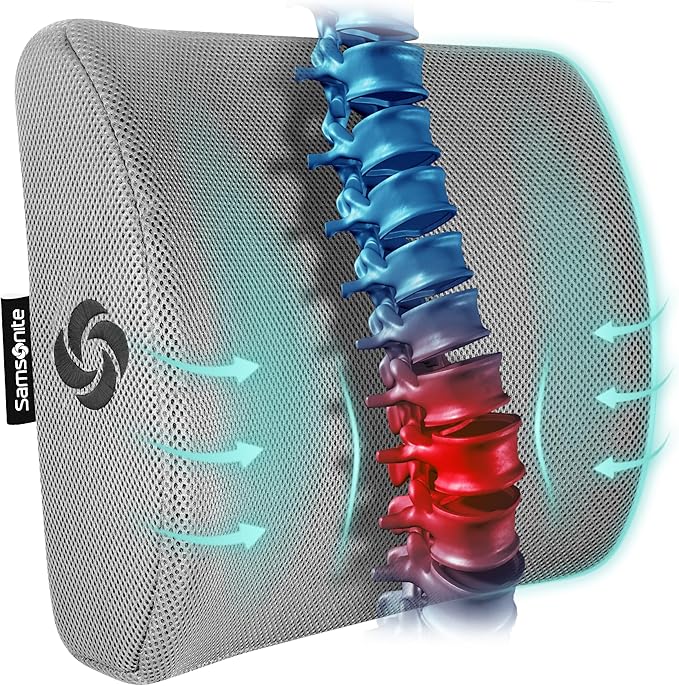 Samsonite Memory Foam Lumbar Support Pillow for Office Chair, Gaming Chair & Car Seat Automotive Use, Ergonomic Back Cushion, Work from Home Essentials, Office Essentials for Sitting Comfort, Grey