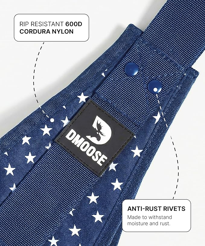 DMoose Fitness Hanging Ab Straps for Pull Up Bar & Core Strength Training - Soft Padded Exercise Straps for Ab Swing & Leg Raises, Hang Bar Strap with 2 Steel Carabiners - Abs Equipment for Home & Gym