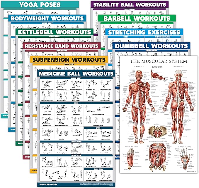 11 Pack - Exercise Poster Set, Dumbbell, Suspension, Kettlebell, Resistance Bands, Stretching, Bodyweight, Barbell, Yoga, Exercise Ball, Muscular System, Medicine Ball (LAMINATED, 18" x 24")