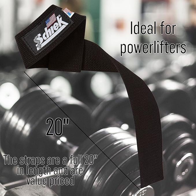 Schiek - Basic Lifting Straps- 2"
