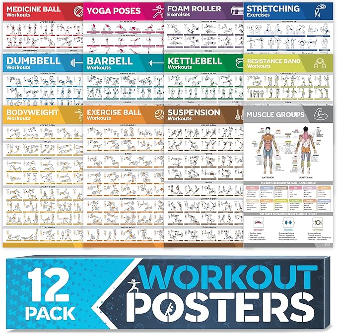 [12-PACK] Laminated Large Workout Poster Set - Perfect Workout Posters for Home Gym - Exercise Charts Incl. Dumbbell, Yoga Poses, Resistance Band, Kettlebell, Stretching & More Fitness Gym Posters