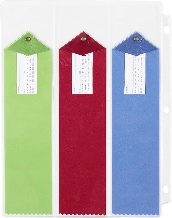 10 Swimming Ribbons Organizer Holder Display Storage for Larger Ribbons Gymnastics Track Award Ribbon Strong Clear Robust Binder Pages Sheets - Mercurydean USA