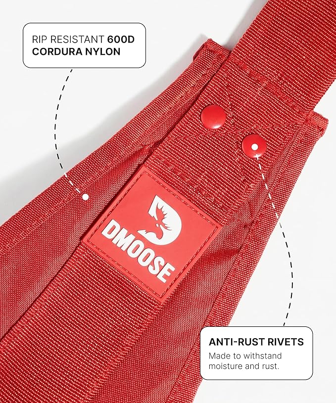 DMoose Fitness Hanging Ab Straps for Pull Up Bar & Core Strength Training - Soft Padded Exercise Straps for Ab Swing & Leg Raises, Hang Bar Strap with 2 Steel Carabiners - Abs Equipment for Home & Gym