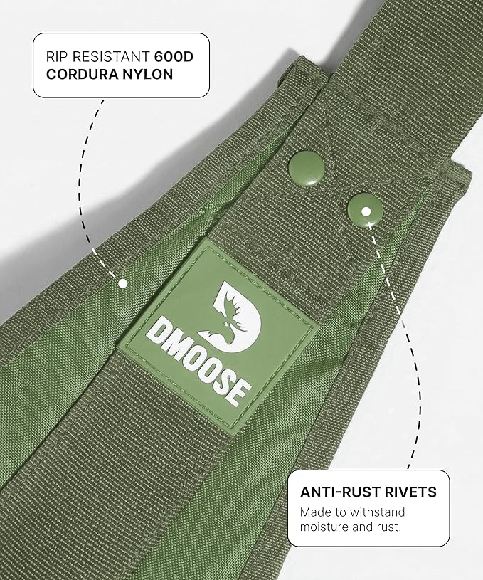 DMoose Fitness Hanging Ab Straps for Pull Up Bar & Core Strength Training - Soft Padded Exercise Straps for Ab Swing & Leg Raises, Hang Bar Strap with 2 Steel Carabiners - Abs Equipment for Home & Gym